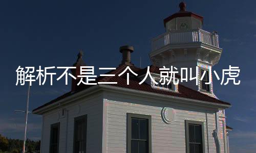 解析不是三個人就叫小虎隊(duì)