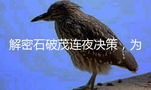 解密石破茂連夜決策，為何選擇連夜與王毅會(huì)面？