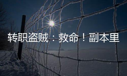 轉(zhuǎn)職盜賊：救命！副本里有臟東西