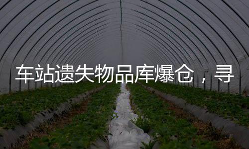 車站遺失物品庫爆倉，尋回物品流程再造挑戰(zhàn)巨大