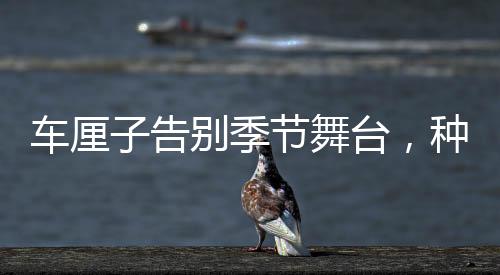 車?yán)遄痈鎰e季節(jié)舞臺(tái)，種植銷售鏈全景揭秘及未來發(fā)展展望