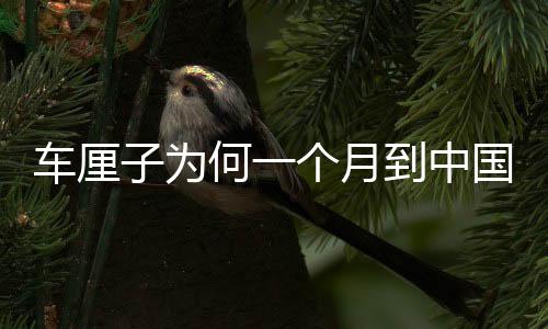 車(chē)?yán)遄訛楹我粋€(gè)月到中國(guó)卻不腐爛？揭秘其神秘旅程與保鮮之道