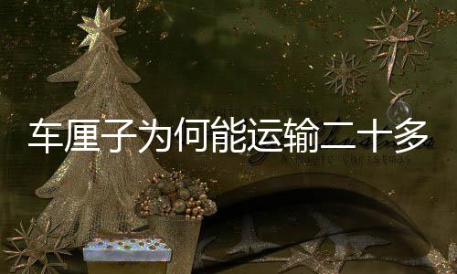 車?yán)遄訛楹文苓\(yùn)輸二十多天都不壞？揭秘其背后的奧秘