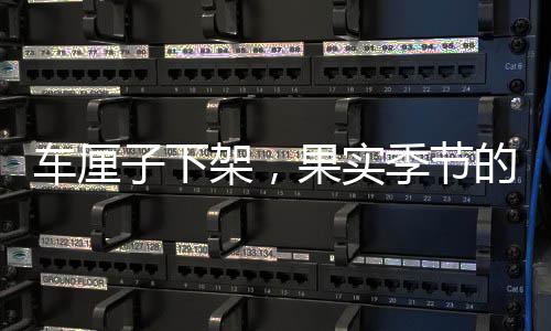 車厘子下架，果實季節(jié)的告別