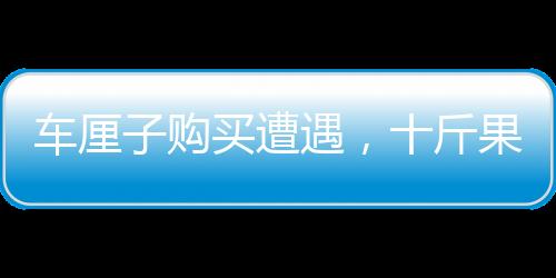 車厘子購買遭遇，十斤果實三斤壞果，消費者需謹慎
