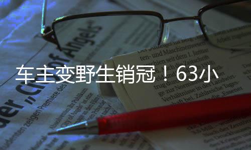 車主變野生銷冠！63小時售罄753臺問界——一個令人矚目的銷售奇跡