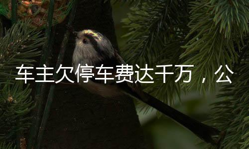 車主欠停車費(fèi)達(dá)千萬，公司作出回應(yīng)