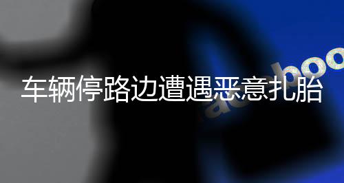 車輛停路邊遭遇惡意扎胎事件，保安行為引發(fā)關(guān)注