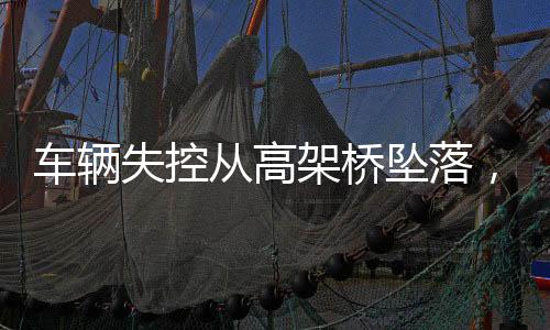 車輛失控從高架橋墜落，司機(jī)奇跡生還，事故背后隱藏的安全警示