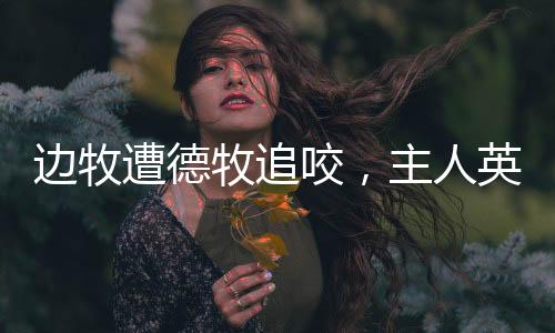 邊牧遭德牧追咬，主人英勇保護(hù)——一次驚心動(dòng)魄的寵物安全事件