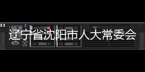 遼寧省沈陽(yáng)市人大常委會(huì)副主任蘇立明接受審查調(diào)查