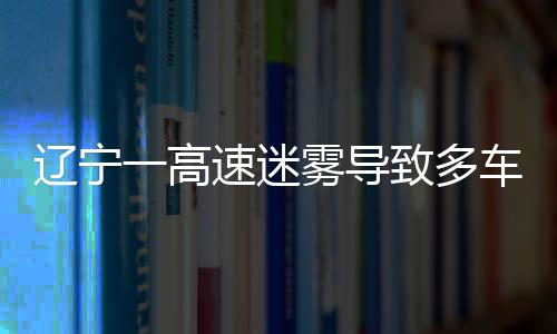 遼寧一高速迷霧導(dǎo)致多車連撞事件紀(jì)實(shí)