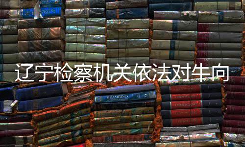 遼寧檢察機(jī)關(guān)依法對牛向東涉嫌受賄案提起公訴