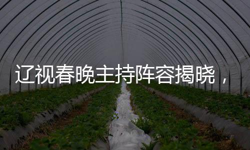 遼視春晚主持陣容揭曉，杜海濤、劉濤與于洋攜手共舞新春盛宴