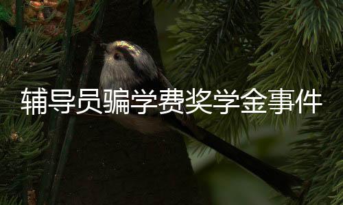 輔導員騙學費獎學金事件曝光，揭開背后的真相與反思