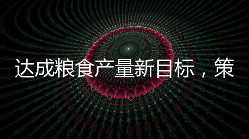 達(dá)成糧食產(chǎn)量新目標(biāo)，策略與實(shí)踐之路