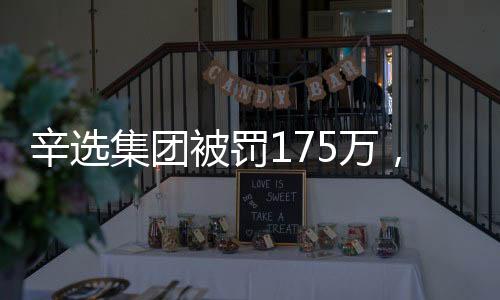 辛選集團被罰175萬，違規(guī)操作引發(fā)關(guān)注