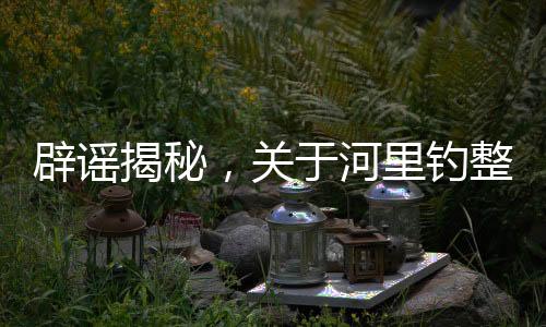 辟謠揭秘，關(guān)于河里釣整箱現(xiàn)金的真實揭秘