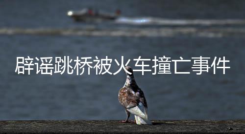 辟謠跳橋被火車(chē)撞亡事件真相揭秘