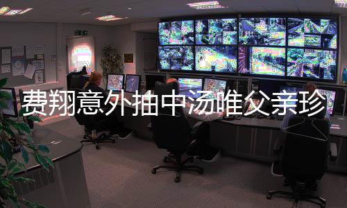費(fèi)翔意外抽中湯唯父親珍貴墨寶，揭開(kāi)文化奇緣