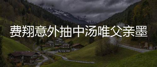 費翔意外抽中湯唯父親墨寶，揭示深厚文化緣分