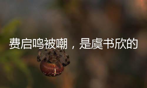 費(fèi)啟鳴被嘲，是虞書欣的嫁妝嗎？