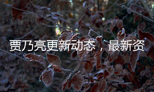 賈乃亮更新動態(tài)，最新資訊與深度解讀