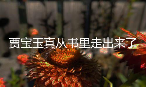 賈寶玉真從書里走出來了，一場奇幻的文化盛宴
