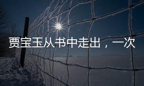 賈寶玉從書中走出，一次跨越時空的奇遇