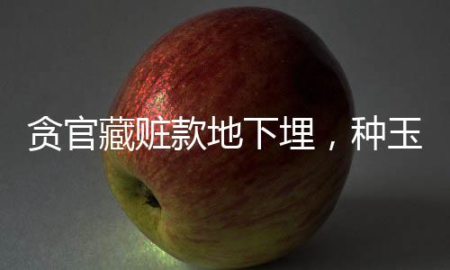 貪官藏贓款地下埋，種玉米偽裝成農(nóng)田