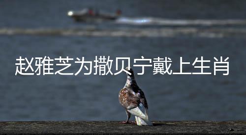 趙雅芝為撒貝寧戴上生肖帽，跨越時光的經(jīng)典相遇與傳統(tǒng)文化的美妙傳承