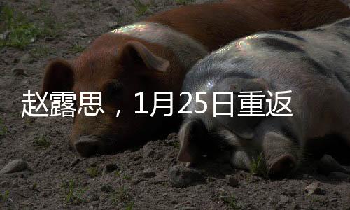 趙露思，1月25日重返工作崗位，新一輪演藝旅程啟航