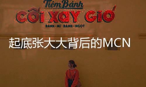 起底張大大背后的MCN公司，深度探究其背后的力量與運(yùn)營模式
