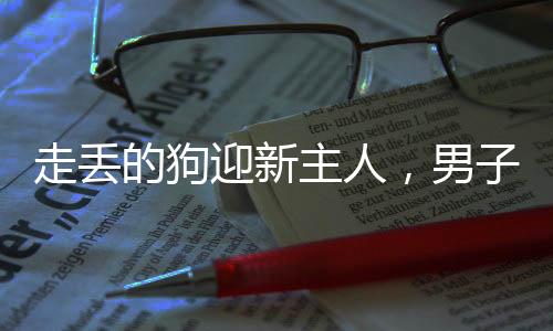 走丟的狗迎新主人，男子溫情相遇牽走失犬