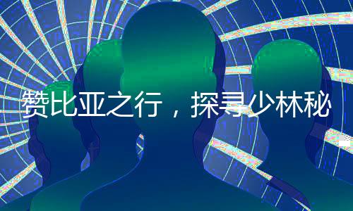 贊比亞之行，探尋少林秘境的獨特體驗