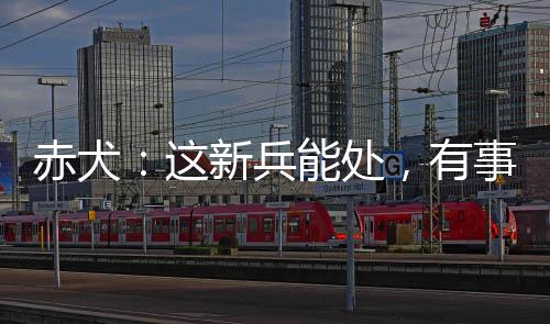 赤犬：這新兵能處，有事他真上！