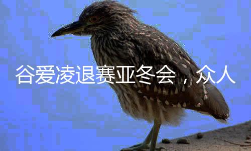 谷愛凌退賽亞冬會，眾人關(guān)注之下的賽場之旅與歸來時刻的故事
