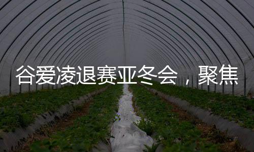 谷愛凌退賽亞冬會(huì)，聚焦背后原因及展望