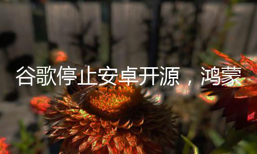 谷歌停止安卓開源，鴻蒙系統(tǒng)的機(jī)遇與挑戰(zhàn)