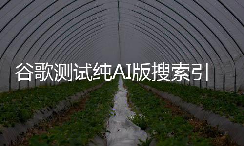 谷歌測(cè)試純AI版搜索引擎 取消傳統(tǒng)展示形式