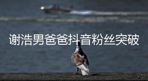 謝浩男爸爸抖音粉絲突破百萬大關，一位網(wǎng)紅爸爸的奮斗與影響