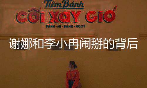 謝娜和李小冉鬧掰的背后原因，一場(chǎng)復(fù)雜的友誼危機(jī)解析