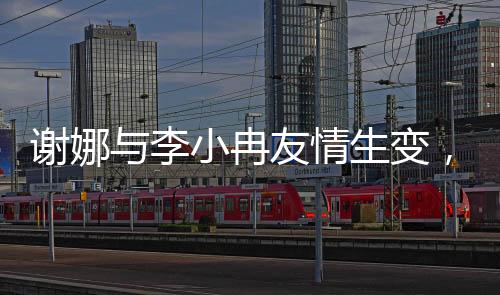 謝娜與李小冉友情生變，探究鬧掰背后的原因