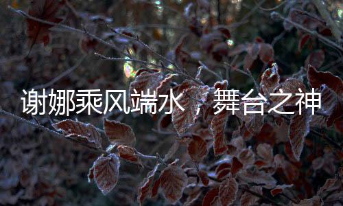 謝娜乘風(fēng)端水，舞臺之神的光彩