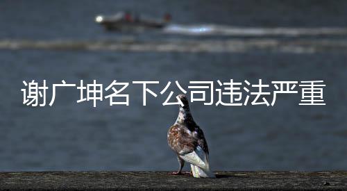 謝廣坤名下公司違法嚴重，涉嫌違規(guī)行為引關(guān)注