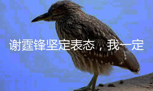 謝霆鋒堅定表態(tài)，我一定會加場——演唱會盛況空前，再度引爆熱潮