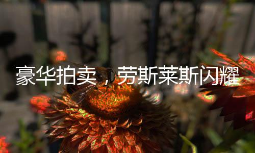 豪華拍賣，勞斯萊斯閃耀成交，510萬(wàn)天價(jià)揭曉