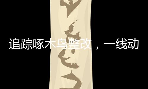 追蹤啄木鳥整改，一線動(dòng)態(tài)與反思