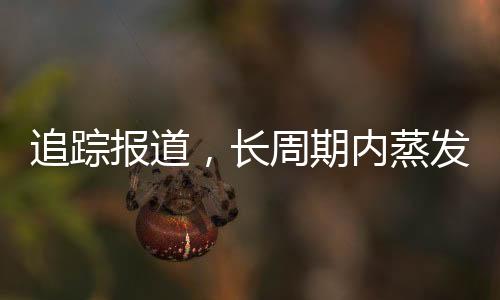 追蹤報(bào)道，長(zhǎng)周期內(nèi)蒸發(fā)323億，深度解析事件始末