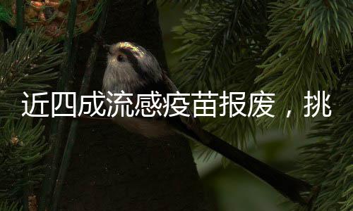 近四成流感疫苗報廢，挑戰(zhàn)與應(yīng)對策略